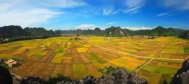 中國(guó)經(jīng)濟(jì)體制改革基金會(huì)全國(guó)第一！中國(guó)改革熱度第三方評(píng)估出爐，云浮宣傳系數(shù)在全國(guó)343個(gè)城市居首位                             