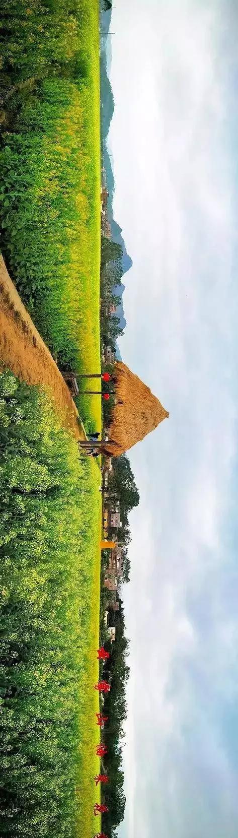 中國(guó)經(jīng)濟(jì)體制改革基金會(huì)全國(guó)第一！中國(guó)改革熱度第三方評(píng)估出爐，云浮宣傳系數(shù)在全國(guó)343個(gè)城市居首位                             