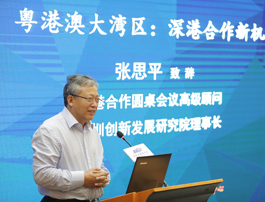 中國經(jīng)濟(jì)體制改革基金會(huì)張思平：在粵港澳大灣區(qū)再造幾個(gè)香港                                                                  